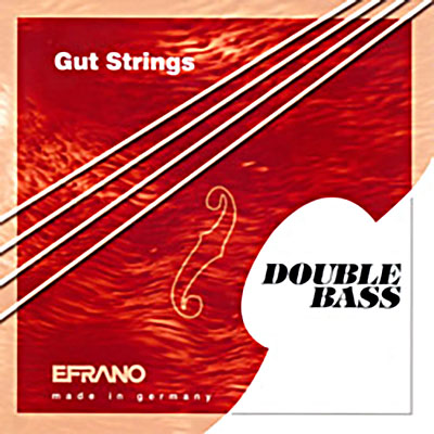 Double Bass